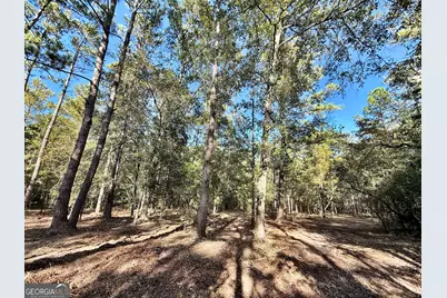1 Kitchens Road, Macon, GA 31217 - Photo 18