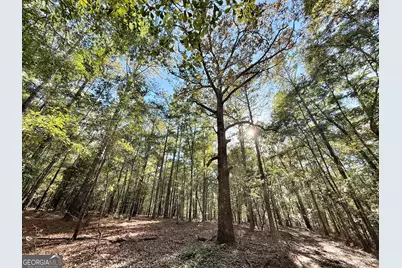 1 Kitchens Road, Macon, GA 31217 - Photo 26