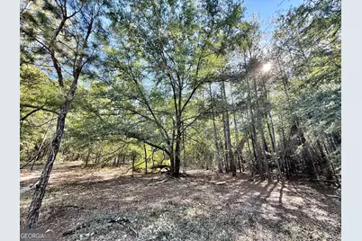 1 Kitchens Road, Macon, GA 31217 - Photo 4