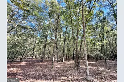 1 Kitchens Road, Macon, GA 31217 - Photo 22