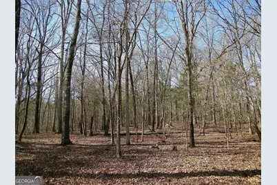 Lot 25 Benjamin Brown Court, Elberton, GA 30635 - Photo 8
