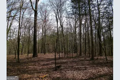Lot 25 Benjamin Brown Court, Elberton, GA 30635 - Photo 6