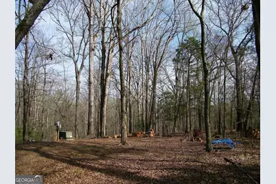 Lot 25 Benjamin Brown Court, Elberton, GA 30635 - Photo 4