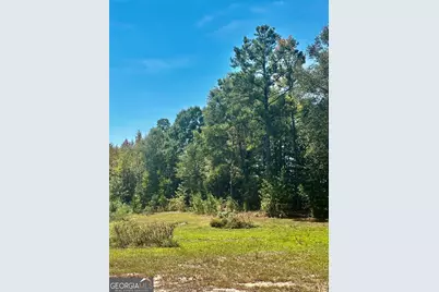 0 Newnan Road, Brooks, GA 30205 - Photo 4