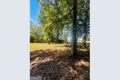 0 Newnan Road, Brooks, GA 30205 - Photo 2
