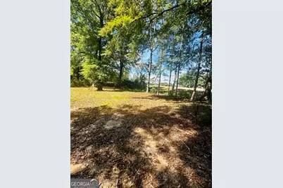 0 Newnan Road, Brooks, GA 30205 - Photo 6