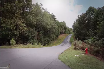 965 Old Owen Drive, Blairsville, GA 30512 - Photo 4