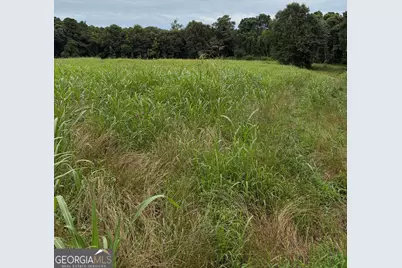881 Thomas Road, Martin, GA 30557 - Photo 6