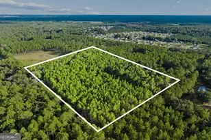 0 Bub Ln, Ellabell, GA 31308 - Photo 1