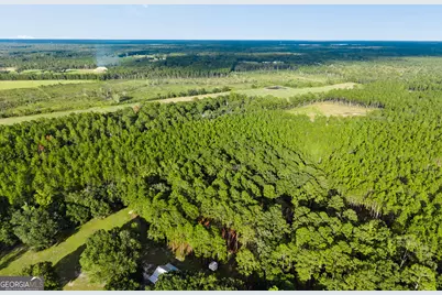 0 Bub Lane, Ellabell, GA 31308 - Photo 2