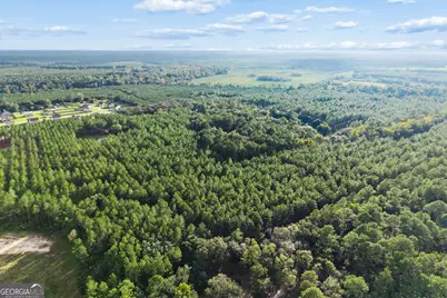 0 Bub Lane, Ellabell, GA 31308 - Photo 4