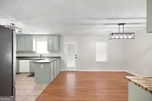 461 Columbus Hwy, Hawkinsville, GA 31036 - Photo 10