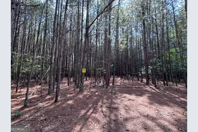697 Donahoo Road SE, Silver Creek, GA 30173 - Photo 8
