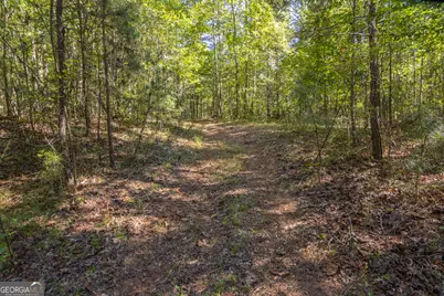 8995 Gullatt Road, Palmetto, GA 30268 - Photo 94