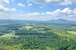 315 Skyview Cir, Clarkesville, GA 30523 - Photo 50