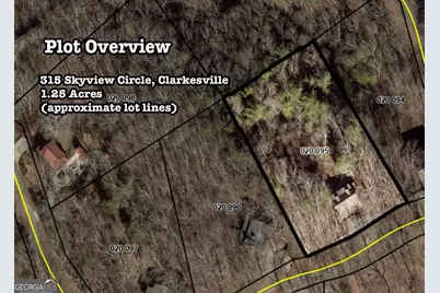 315 Skyview Circle, Clarkesville, GA 30523 - Photo 52