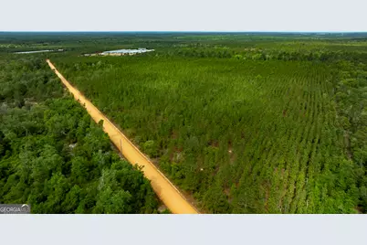 0 Rushing Boone Road, Glennville, GA 30427 - Photo 2