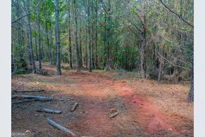 132 Acres Carlisle Gap Road, Woodland, GA 31836 - Photo 22