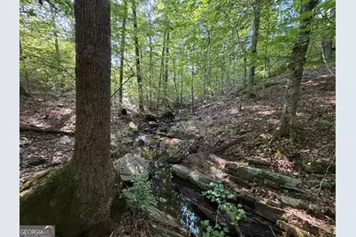 132 Acres Carlisle Gap Road, Woodland, GA 31836 - Photo 48