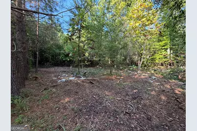 132 Acres Carlisle Gap Road, Woodland, GA 31836 - Photo 36