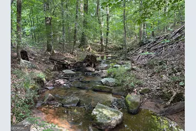 132 Acres Carlisle Gap Road, Woodland, GA 31836 - Photo 64