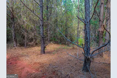 132 Acres Carlisle Gap Road, Woodland, GA 31836 - Photo 24