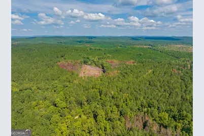 132 Acres Carlisle Gap Road, Woodland, GA 31836 - Photo 78
