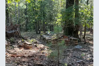132 Acres Carlisle Gap Road, Woodland, GA 31836 - Photo 54