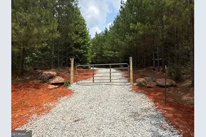 132 Acres Carlisle Gap Road, Woodland, GA 31836 - Photo 2
