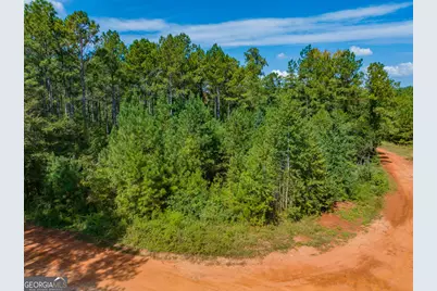 132 Acres Carlisle Gap Road, Woodland, GA 31836 - Photo 76