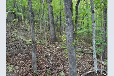 132 Acres Carlisle Gap Road, Woodland, GA 31836 - Photo 58