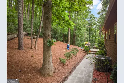 100 Bee Tree Run, Clayton, GA 30525 - Photo 44