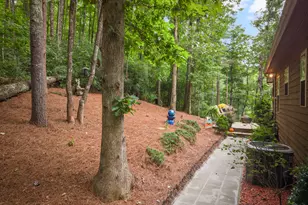 100 Bee Tree Run, Clayton, GA 30525 - Photo 44