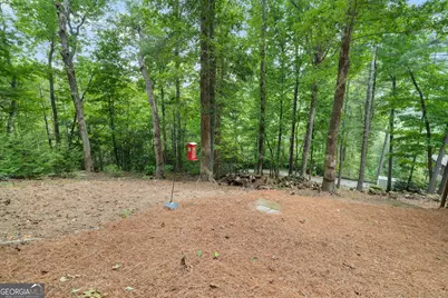 100 Bee Tree Run, Clayton, GA 30525 - Photo 38