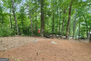 100 Bee Tree Run, Clayton, GA 30525 - Photo 38