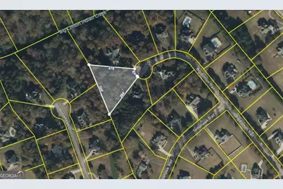 126 Big Cotton Trail, McDonough, GA 30252 - Photo 4