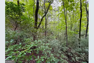 0 Mattie McCall Lane, Clayton, GA 30525 - Photo 20