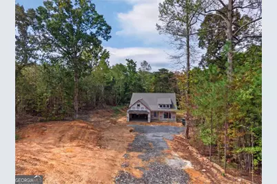 7824 Georgia Highway 100, Buchanan, GA 30113 - Photo 4