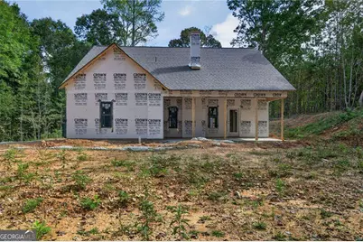 7824 Georgia Highway 100, Buchanan, GA 30113 - Photo 38