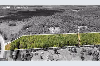 15.5 Ac Elim Church Road NE, Ludowici, GA 31316 - Photo 2