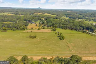 5479 Hwy 63, Toccoa, GA 30577 - Photo 92