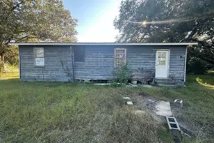 294 Clear Lake Rd, Newton, GA 39870 - Photo 1
