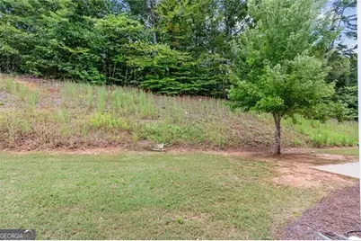 891 Walnut Woods Drive, Braselton, GA 30517 - Photo 44