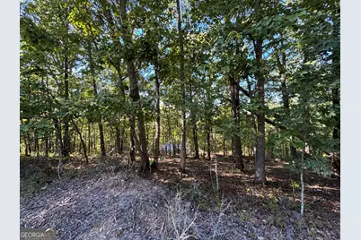 1044 Highway 19, Meansville, GA 30256 - Photo 6