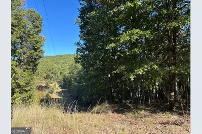 1044 Highway 19, Meansville, GA 30256 - Photo 4