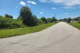 13406 Lansing Ave, Port Charlotte, FL 33981 - Photo 4