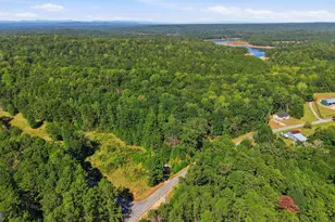 2421 E Silver Shoals Rd, Toccoa, GA 30577 - Photo 36