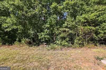 2421 E Silver Shoals Road, Toccoa, GA 30577 - Photo 38