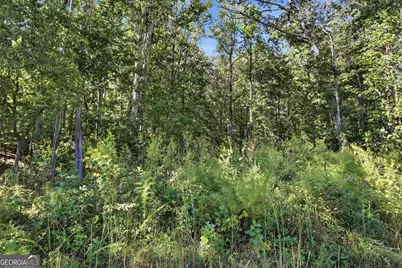 2421 E Silver Shoals Road, Toccoa, GA 30577 - Photo 40