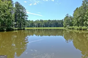 155 Boatwater Bend, Peachtree City, GA 30269 - Photo 96